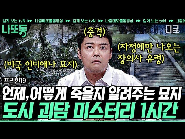 [#프리한19] (70분) 조작이 아닌 진짜 귀신?? 등골 오싹한 공포 특집! 전 세계 괴담 총집합 모음 | #나중에또볼동영상