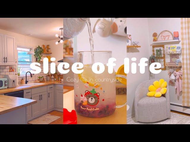 Slice of life | cozy life in countryside