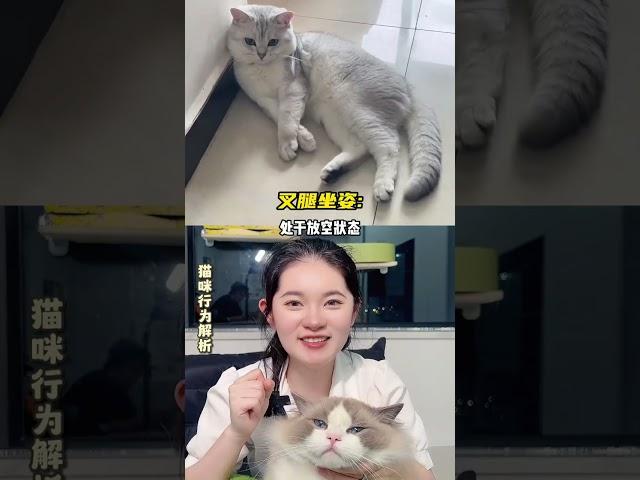 猫咪迷惑行为 #新手养猫 #养猫经验分享 #科学养宠攻略 猫奴十三