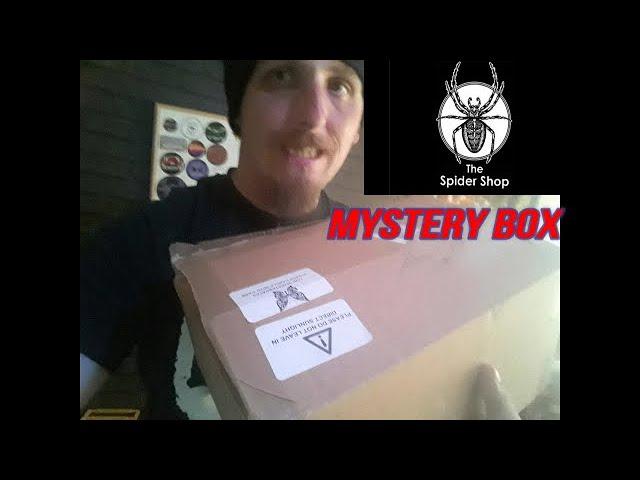 the spider shop £60 mystery box