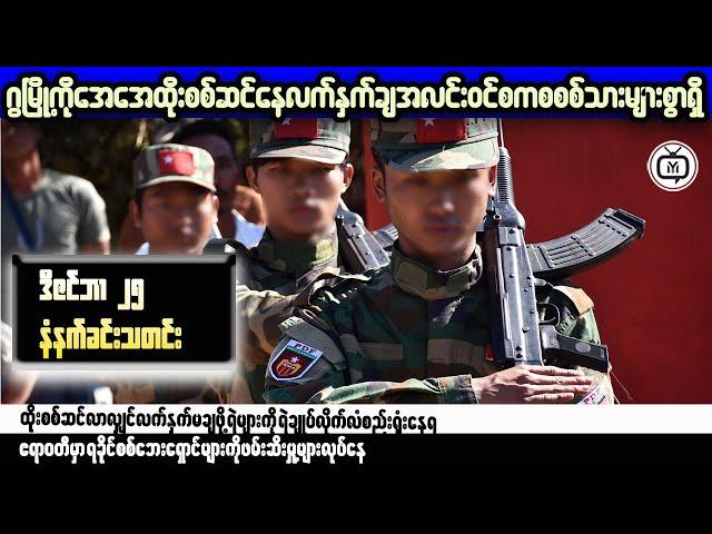 Top Democracy Expert Reveals Myanmar's BEST Path Forward!