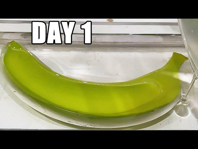 Banana After 180 Days In Epoxy Resin | What Happened?