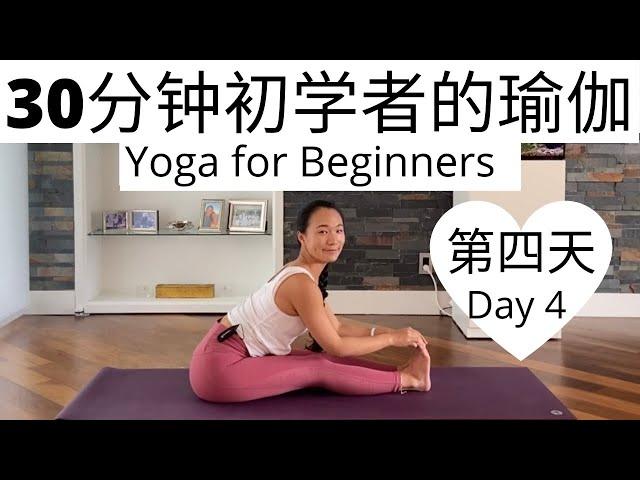 【30分钟初学者的瑜伽课程 Day 4 】零基础瑜伽入门系列课程 | Yoga for Beginners Series #4