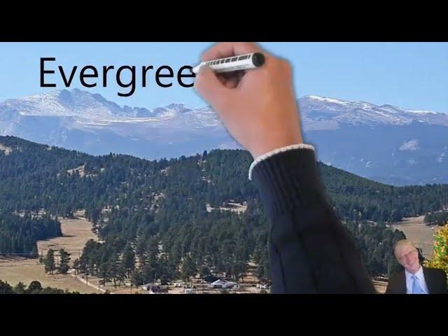 Real Estate Agents Evergreen Colorado - best real estate agents   listing agents evergreen co