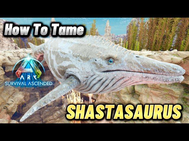 How To Tame The Shastasaurus Whale And Spawn Location, Ark Survival Ascended