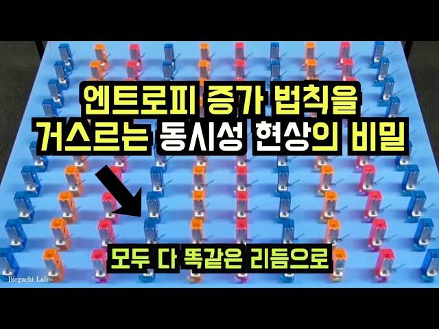 '동시성 현상'이 진짜 특별하고 이상한 과학 현상인 이유...