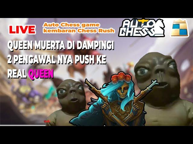 HERO KODOK CARRY  ! AUTO CHESS