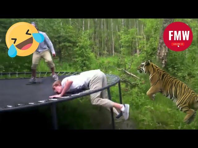 Funny & Hilarious People's Life  #203 - Try not to Laugh | Instant Regret Fails Compilation 2024