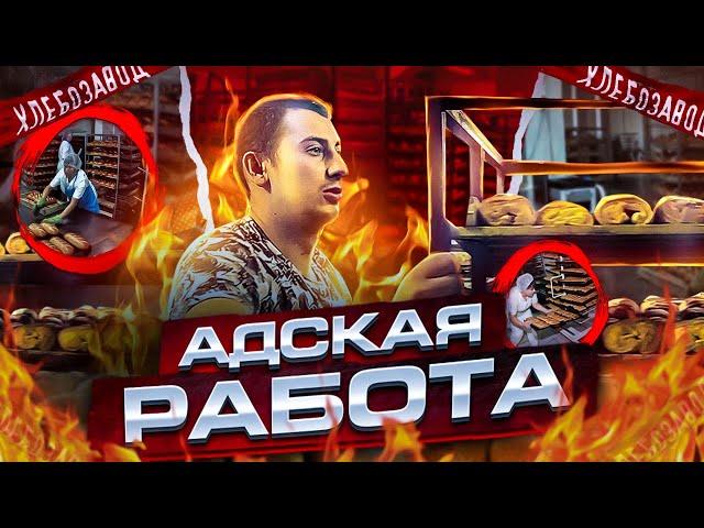 РАБОТА НА ХЛЕБОЗАВОДЕ, БОЛЬШИЕ ДЕНЬГИ...