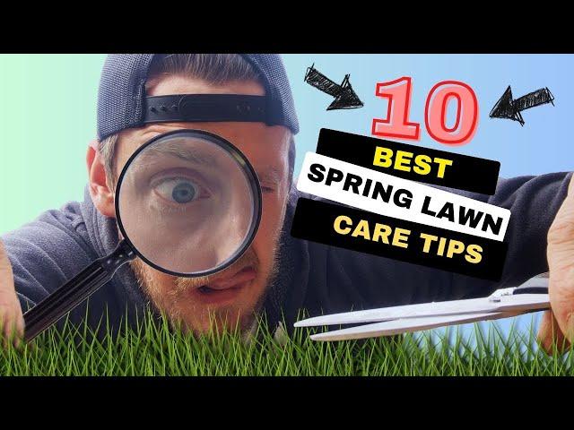 Top 10 DIY Spring Lawn Care Tips!