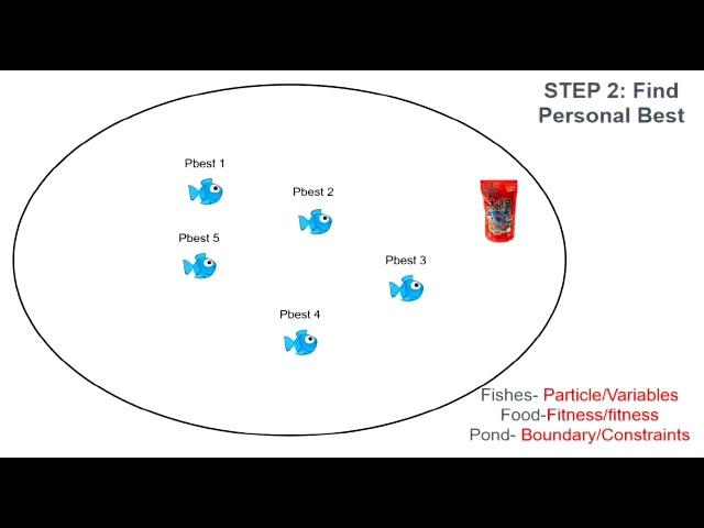 particle swarm optimisation (PSO) algorithm in 30secs