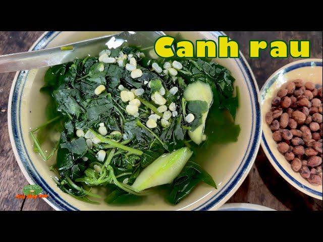 CANH RAU dân dã quê nhà, vừa thanh lại mát chan hòa vị thương| Đặc sản miền sông nước