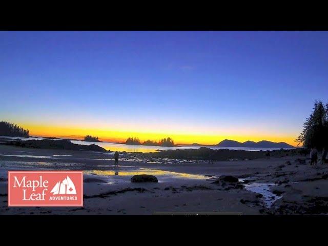 Wild Inside Passage BC, Alaska, and Haida Gwaii Small Ship Expedition Cruise