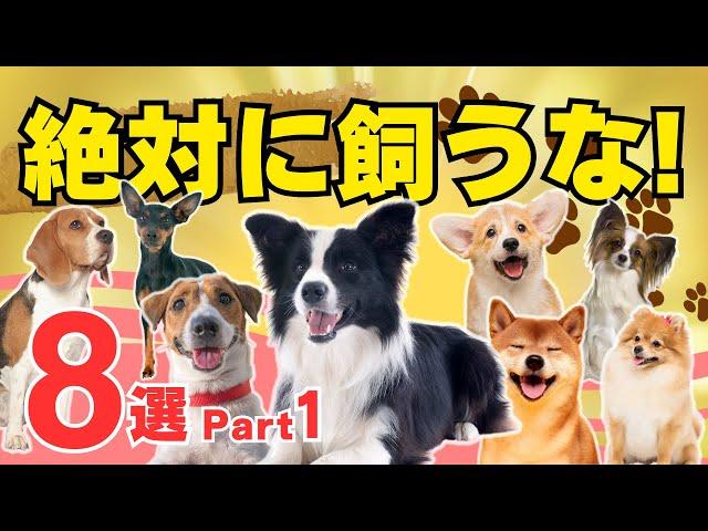 【本当はヤバイ人気犬種 8選 part1】飼いにくくて後悔している理由を解説！