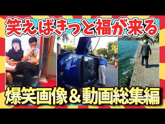 【爆笑:総集編】腹筋崩壊！笑って嫌な事吹っ飛ばせ！爆笑画像＆動画総集編/ガルちゃん選抜/爆笑GIF動画/ゆっくり