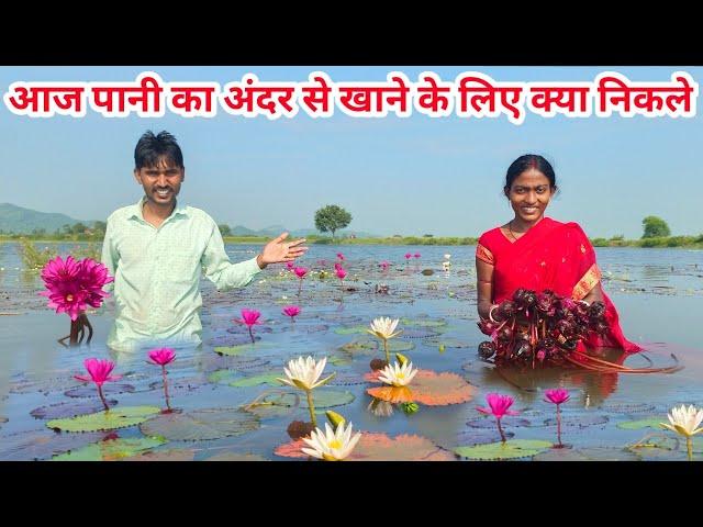 आज पानी का अंदर से खाने के लिए क्या निकले#ajayanjuvlogs #villagelife