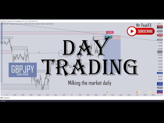 MILK THE MARKET DAILY (DAY TRADING)