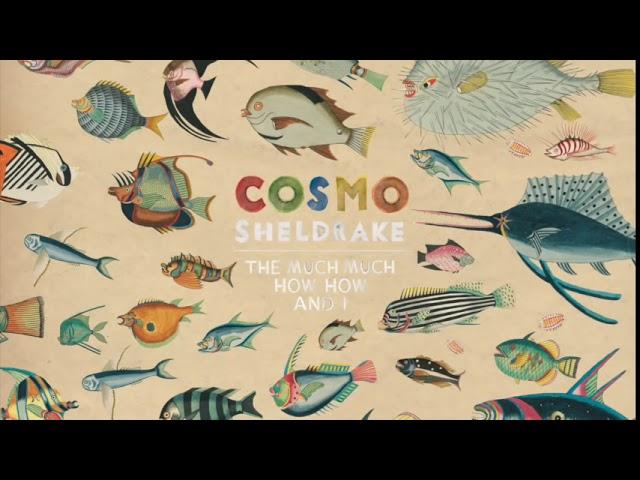 Cosmo Sheldrake - Birthday Suit