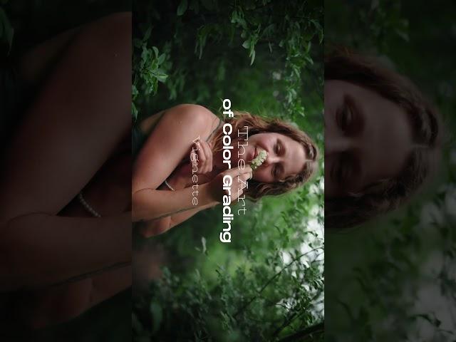 The ART of Color Grading // Canon R5 Mark II 4K SRAW