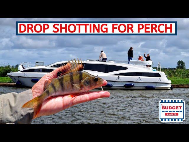 Drop Shotting for Perch in Wroxham