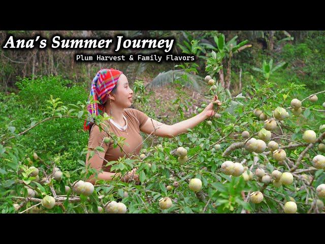 Ana's Journey Home – Chickens, Plum Harvest & A Family Meal