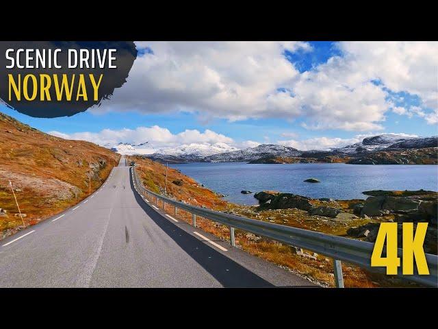 Stunning Drive in Norway | Sognefjellet Scenic Route through Mountains & Valleys [4k]