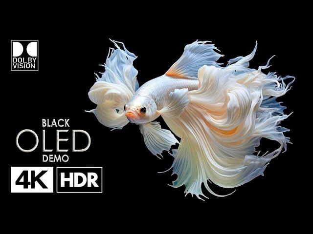 The Black OLEDDemo 4K HDR 120fps | DOLBY VISION