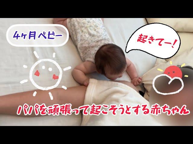 パパを頑張って起こそうとする赤ちゃん【4ヵ月ベビー】baby trying to wake daddy up