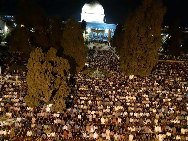 قناة المسجد الاقصى المبارك Live Broadcast AL-AQSA Live Stream