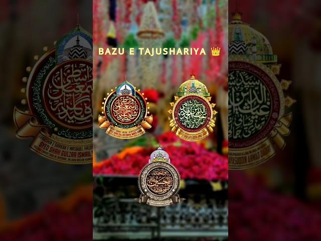 Shaan e Huzoor Gulzar e Millat | Sayyed Hasnain Baqai #gulzaremillat