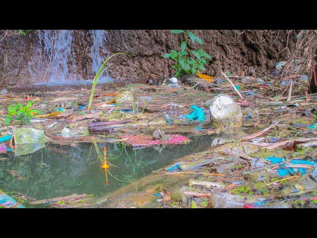 Awalnya ragu mancing ikan nila di spot jorok ini, ternyata banyak ikan nila babonnya