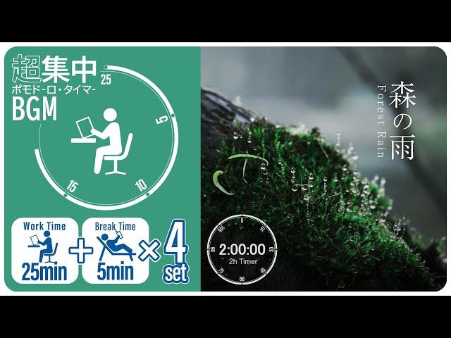 森の雨で集中！生産性の高まるBGMタイマー【ポモドーロタイマー】【勉強用・作業用BGM】【作業効率の上がるBGM】