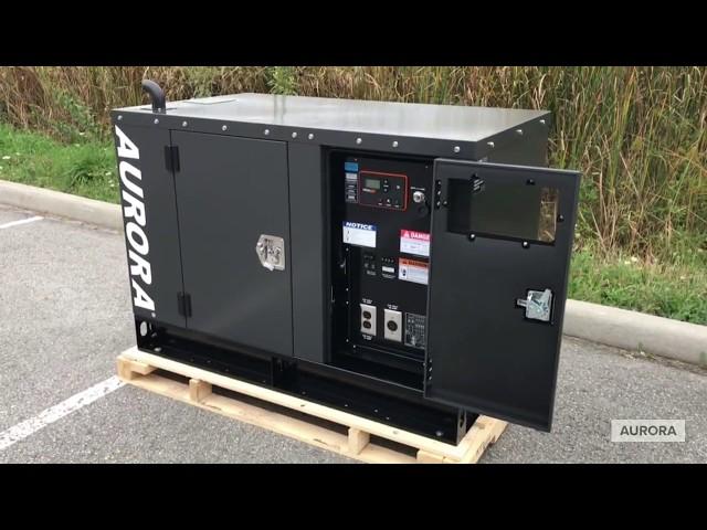 Whole Home Diesel Generators