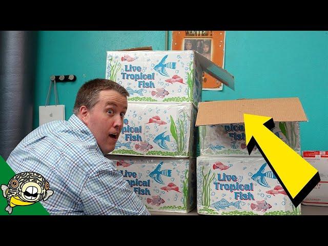 Dang, THOSE came in big. Tropical Fish [Unboxing]