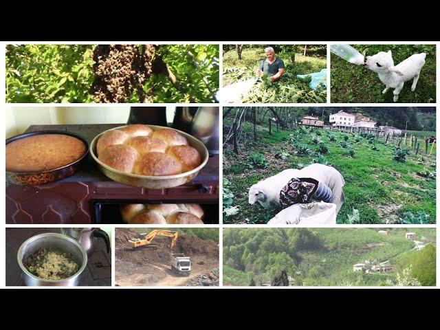 Anadolu İnsanı - Karadeniz'de Yaşam - Doğal Hayat