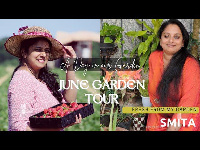 JUNE GARDEN TOUR | A DAY IN OUR GARDEN | In Collaboration with SMITA'S FRESH FROM MY GARDEN