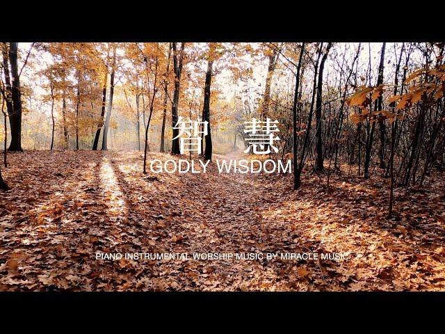 智慧 Godly Wisdom｜等候神音樂 Soaking Music  #BGM  #meditation #智慧