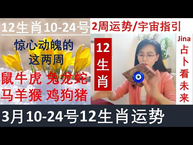 12生肖10 -24日/阳历3月惊心动魄的下两周焦点&事业&财富&感情和宇宙的指引2025年3月中时间轴在下方