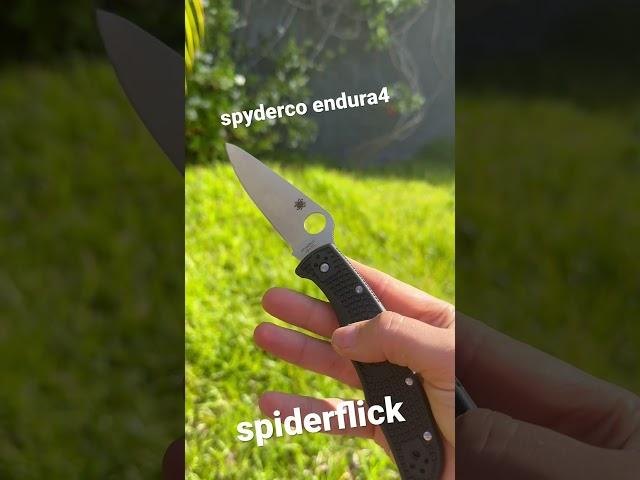 Spyderco Endura 4 spydie flick - I am showing how to spider flick an Endura 4 knife