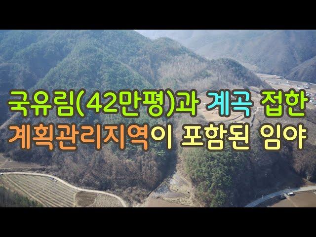 국유림과 계곡을 접하고 있는 임야 #영양부동산#싼땅#시골땅#촌땅#경북땅#자연인 임야