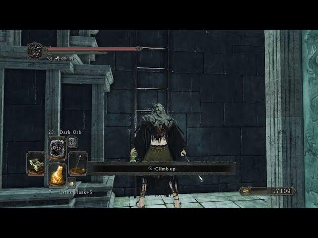 Estus Flask Shard #11 Dark Souls 2