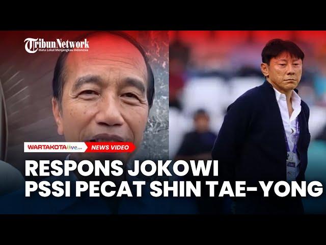 Begini Respons Jokowi PSSI Pecat Shin Tae-yong