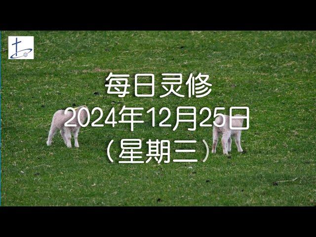 每日灵修2024年12月25日（星期三）腓立比书3章12节  (English translation in description box)