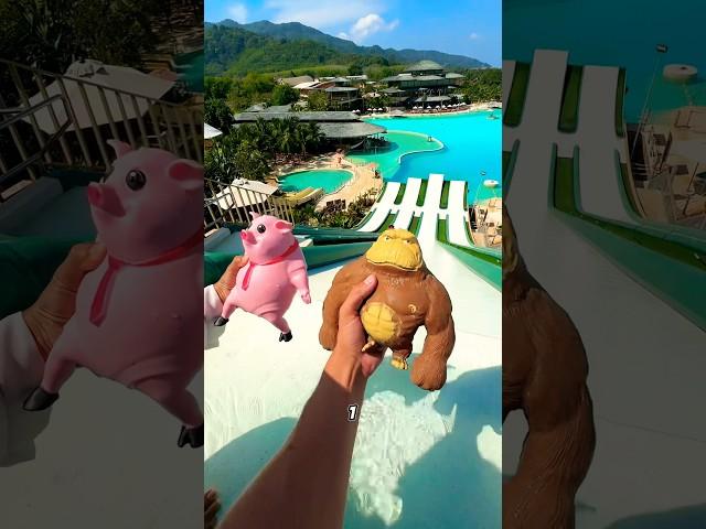 Squishy Monkey and Piggy's Epic Waterslide Challenge!