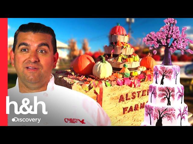 Outono e primavera: bolos favoritos de Buddy para cada estação | Cake Boss | Discovery H&H Brasil