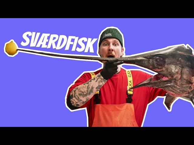 Sværdfisk på over 60 kg! // Opskrifter | P. Clausens Fiskehandel