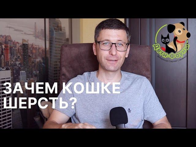 Как вывести шерсть из желудка кошки в домашних условиях? 5 способов