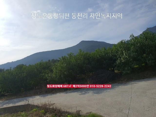 청도전원주택지 687㎡ 매2억5000만​청도운동장뒤편 부동산급매물구합니다