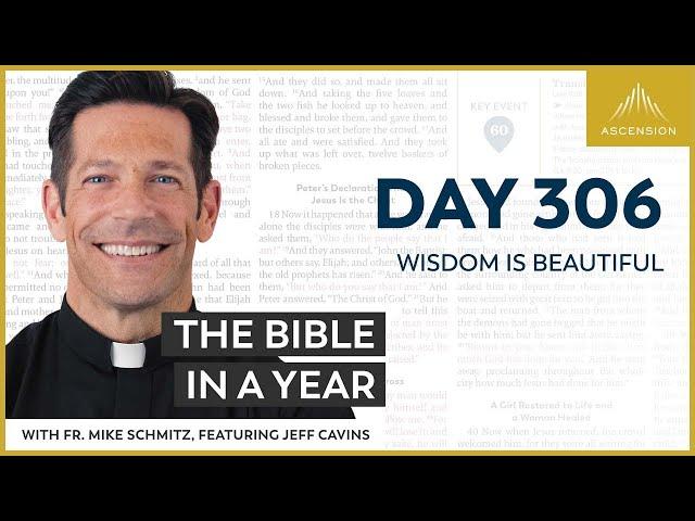 Day 306: Wisdom Is Beautiful — The Bible in a Year (with Fr. Mike Schmitz)