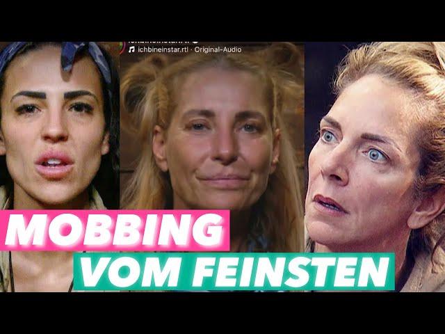 MOBBING IM DSCHUNGEL?  Giulia Siegel gegen die Legenden | Meine Meinung